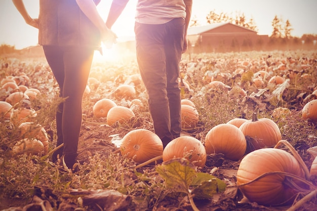 Couple au champ de citrouilles