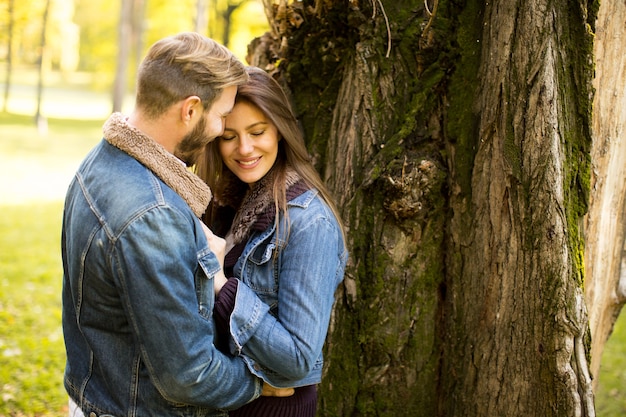 Couple en automne parc