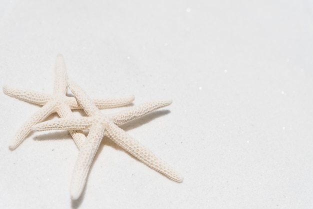 Couple de belle étoile de mer sur fond de plage de sable fin pour concept d&#39;été.