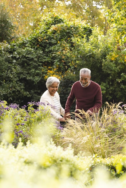 Photo un couple biracial âgé heureux se tenant par la main et regardant les plantes dans le jardin à l'espace de copie à la maison