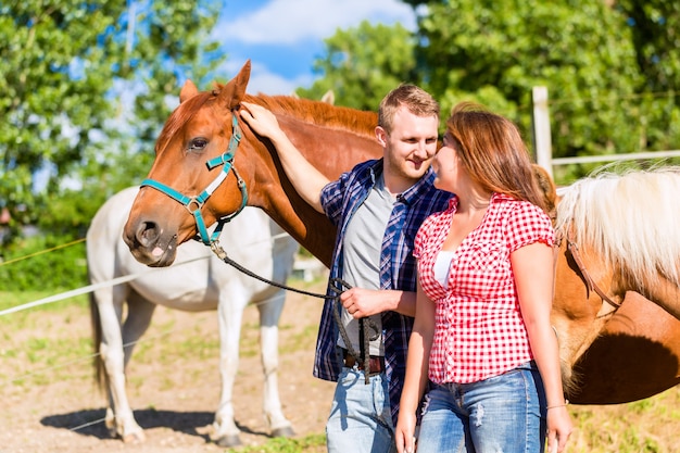 Couple, caresser, cheval, poney, écurie