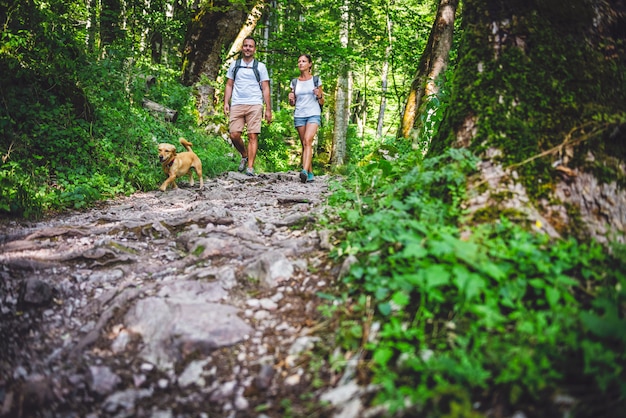 Couple avec un chien en randonnée en forêt