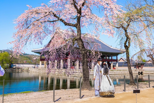 Photo un couple coréen avec une robe traditionnelle coréenne hanbok au palais de gyeongbokgung au printemps à séoul, en corée