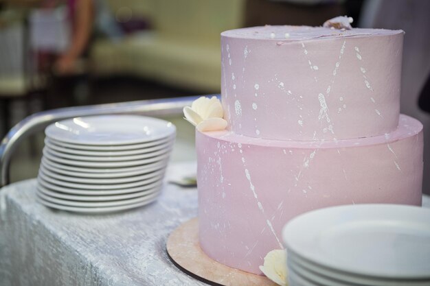 Le couple a coupé un gâteau de mariage pour un goûter avec les invités 2241