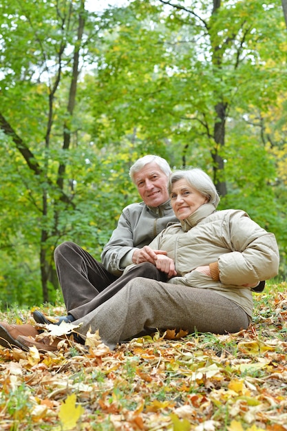 couple, dans, automne, parc, séance, sur, feuilles