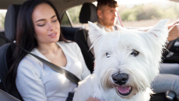 Photo couple flou avec chien mignon