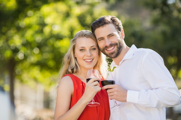 Couple heureux, tenue, verres vin, dans parc