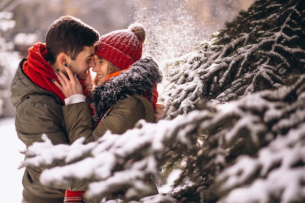 Couple en hiver par le sapin sous la neige qui tombe