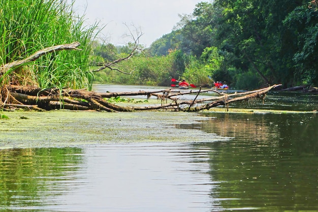 Un couple d'hommes et de femmes font du kayak sur la rivière en été Loisirs actifs Voyage en famille Sports d'aventure extrêmes et tourisme intérieur écologique Équipement pour le rafting Rames de bateau