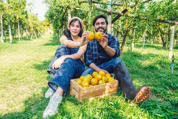 Couple jardinier travaillant dans une ferme d'oranger assis avec la tenue de l'agriculture de concept de fruits orange