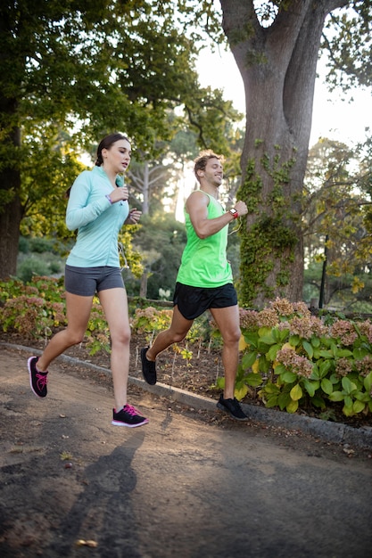 Couple, jogging, dans parc