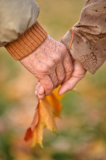 Couple de mains avec des feuilles sur fond