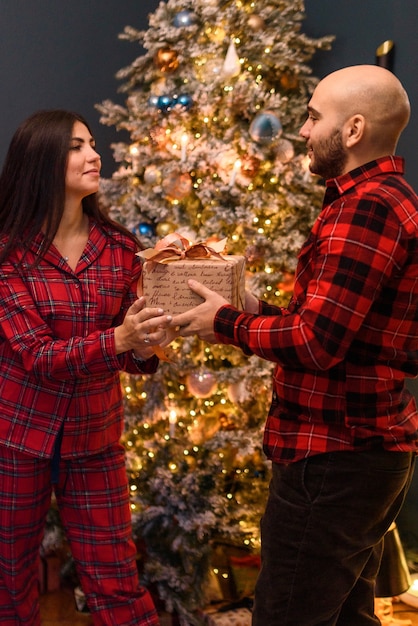 Couple à la maison dans les décorations de Noël