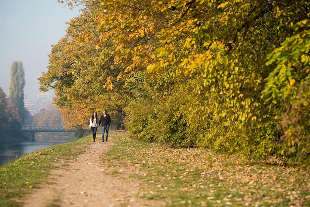 Couple marchant dans la forêt à travers les bois à l'extérieur au cours de l'automne