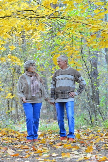 Couple marchant dans le parc