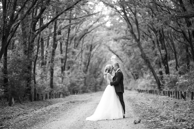 Un couple de mariage heureux s'amuse dans le parc Le concept de la jeunesse aime la mode et le style de vie