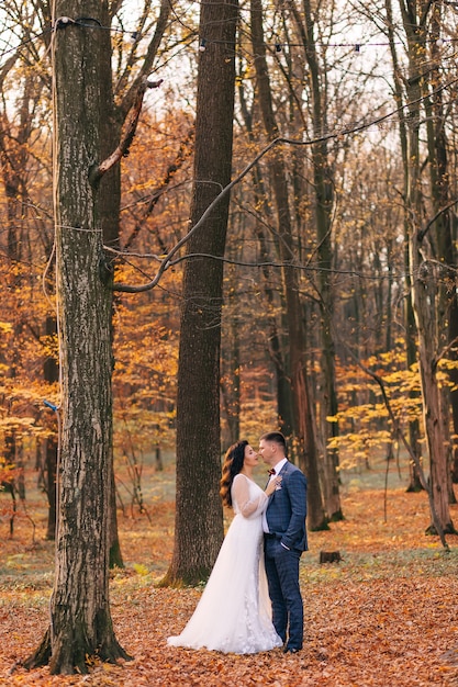 Couple de mariage de jeunes mariés heureux lors d'une promenade dans le parc d'automne jaune doré