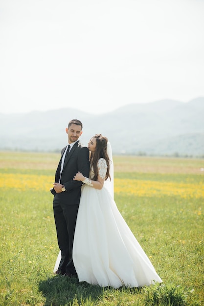 couple de mariage sur la nature se promène dans le champ avec du blé. Fabuleux paysages ruraux