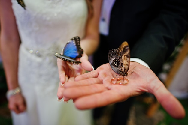 Couple de mariage tenant des anneaux avec des papillons