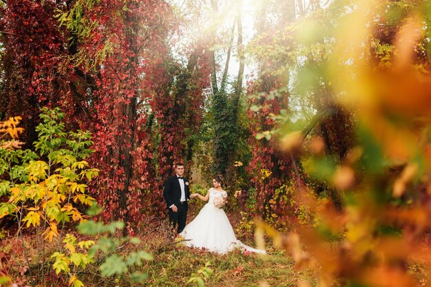 Couple de mariés lors d'une promenade dans la forêt d'automne