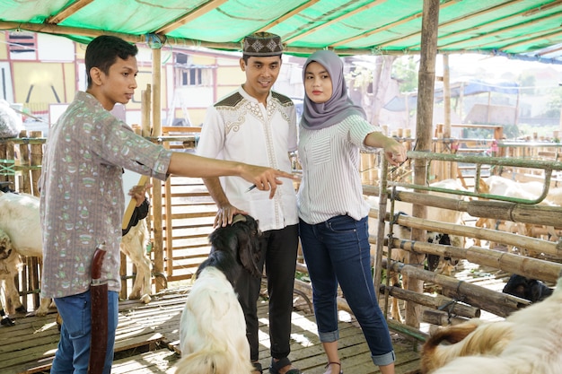 Couple musulman à la ferme de commerce des animaux acheter une chèvre pour la cérémonie du sacrifice de l'Aïd Adha