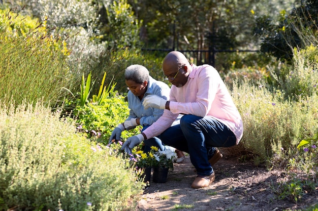 Couple de personnes âgées afro-américaines jardinant, plantant des fleurs à l'extérieur