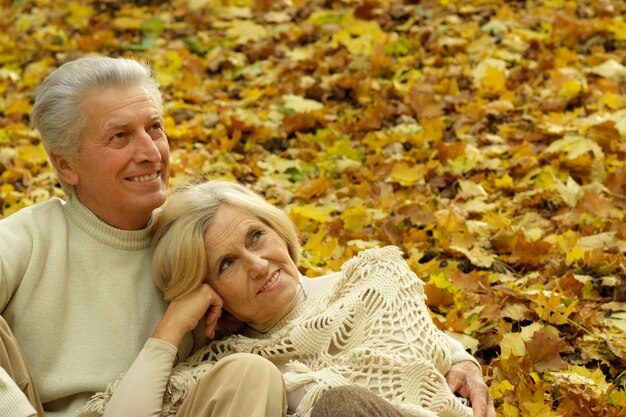 Couple de personnes âgées assis sur des feuilles