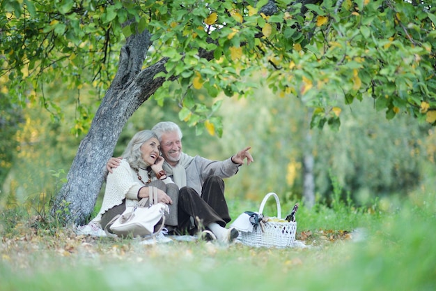 Couple de personnes âgées ayant un pique-nique dans le parc homme pointant du doigt