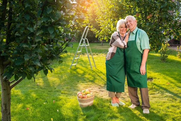 Couple de personnes âgées debout sur l'herbe jardiniers et panier de pommes printemps et amour