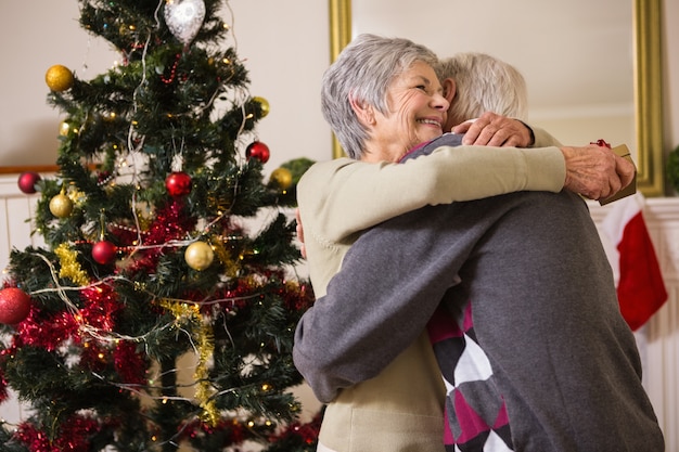 Couple de personnes âgées étreindre à côté de leur arbre de Noël