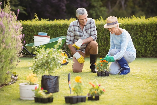 Couple de personnes âgées jardinage ensemble