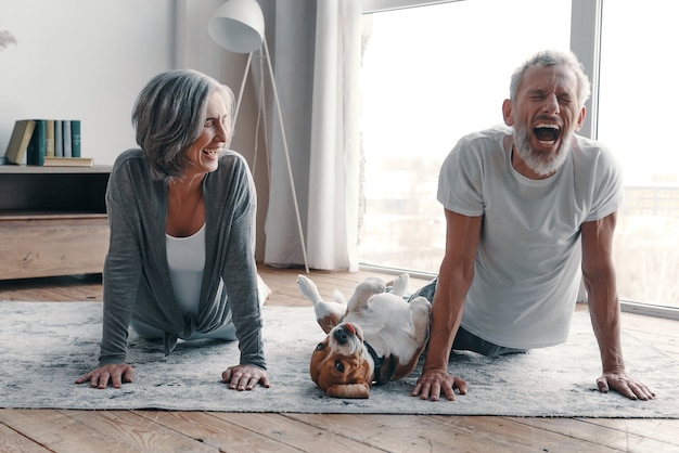 Couple de personnes âgées modernes en vêtements de sport faisant du yoga et souriant tout en passant du temps à la maison avec leur chien