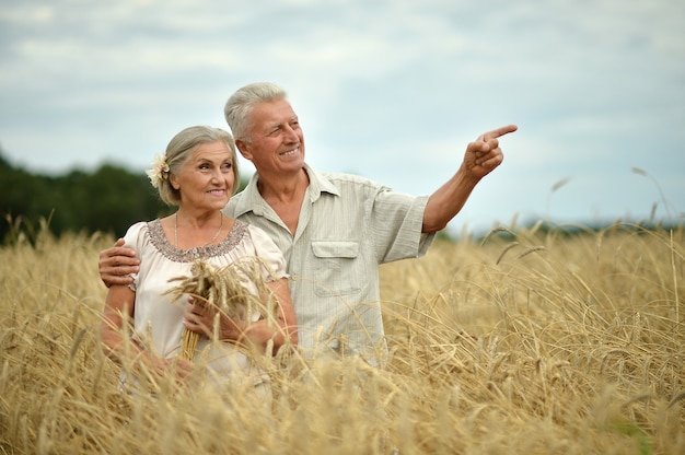 Couple de personnes âgées se reposant au champ d'été, homme pointant par sa main
