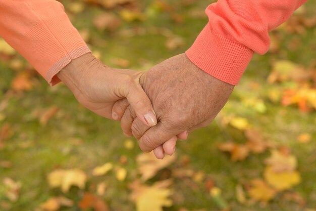 Couple de personnes âgées se tenant la main dans le parc en automne