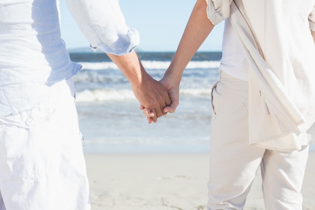 Couple, plage, regarder mer, tenir main