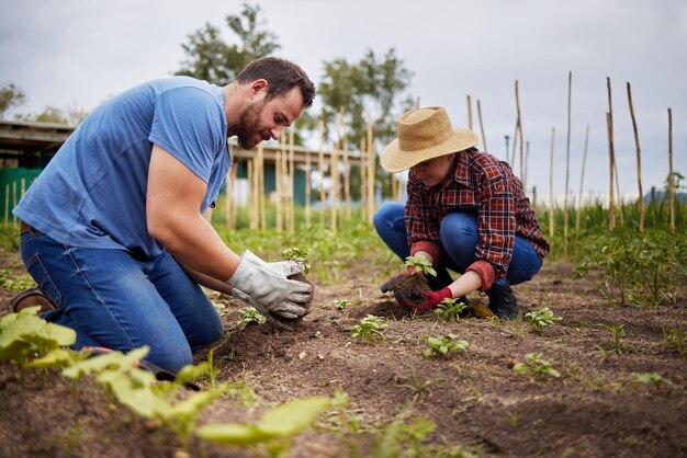 Couple plantation environnement croissance et campagne agriculteur avec responsabilité sur l'agriculture ferme durabilité champ ou nature Homme femme ou travailleur de l'esprit de jardin avec des plantes vertes dans le sol de la terre