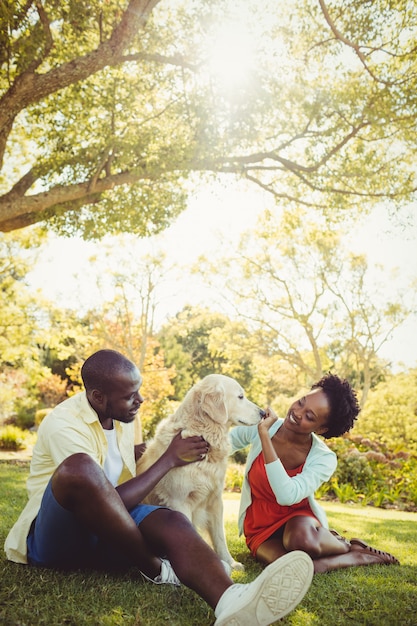 Couple, poser, chien