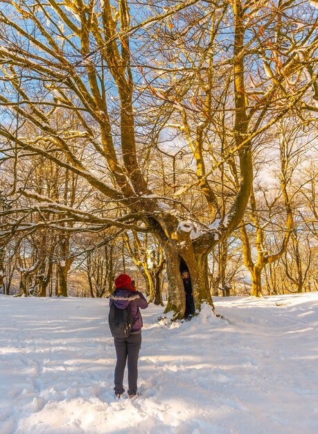 Un couple profitant de l'arbre géant dans le parc naturel d'Oianleku au lever du soleil dans la ville d'Oiartzun à Penas de Aya, Gipuzkoa. pays Basque