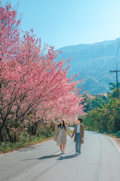 Photo couple relaxing in the tree area of springtime sakura flower cherry blossom nang phaya sua krong fleur à chiang mai thaïlande