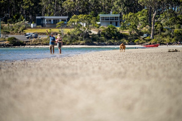 Un couple se promène le long de la plage avec son chien