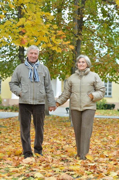 Photo un couple de seniors posant