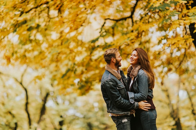 Couple souriant, étreindre en automne parc et s&#39;amuser