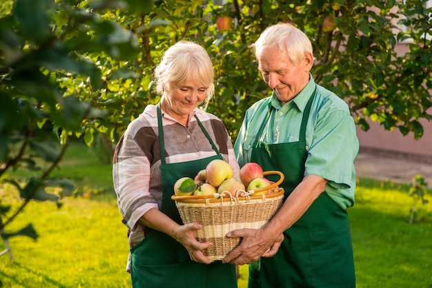 couple, tenue, pomme, panier