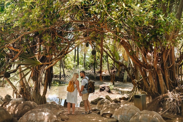 Un couple de touristes s'étreignant sur fond de nombreuses tortues au zoo de l'île Maurice