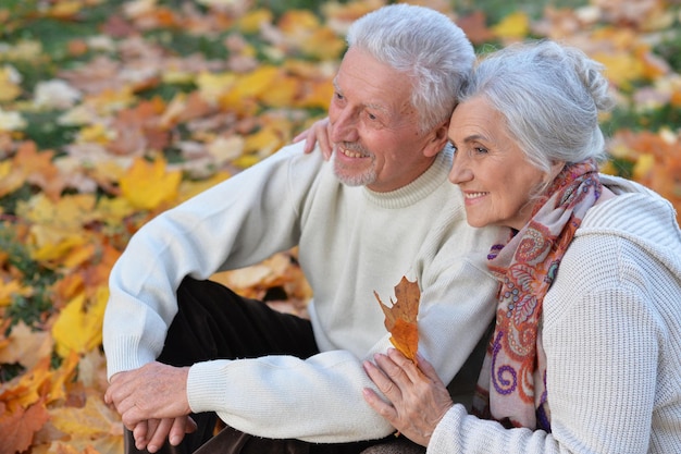 couples aînés, dans, parc automne