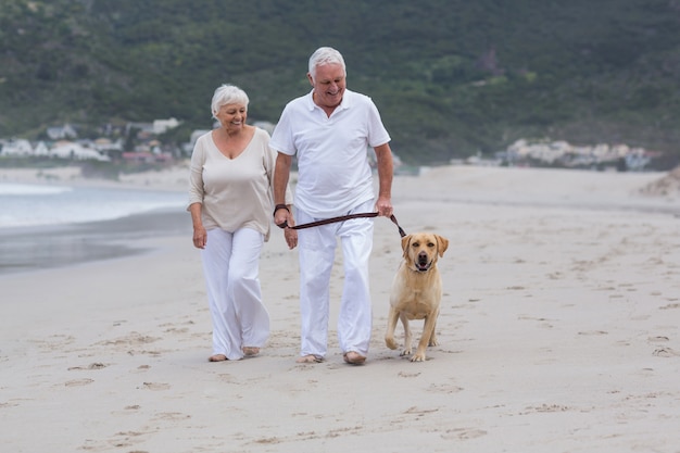 Couples aînés, marche, plage, à, chien