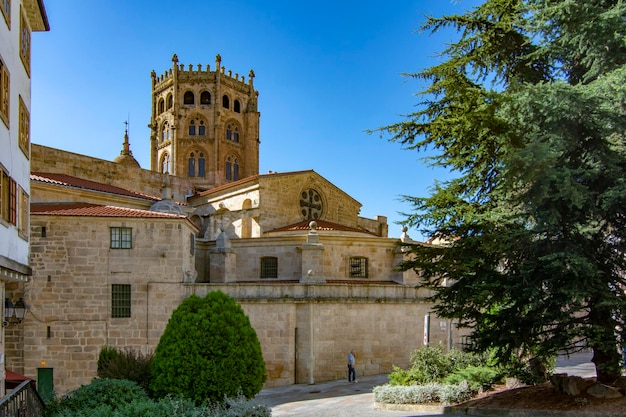 Coupole gothique de la cathédrale d'Orense dédiée à San Martin