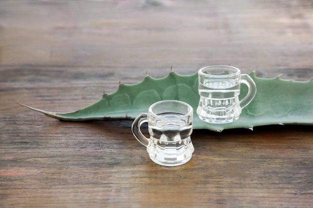 Photo des coups de tequila mexicaine et des feuilles vertes sur une table en bois.