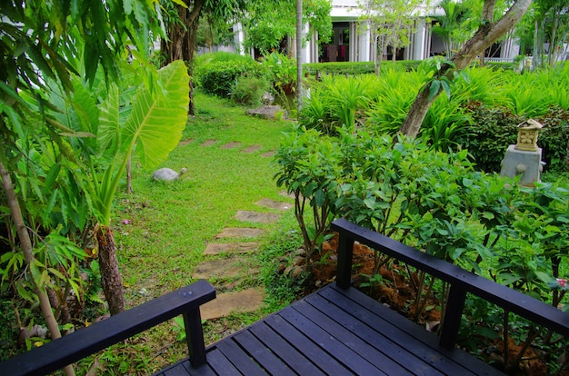 Photo cour arrière avec beau jardin, style oriental