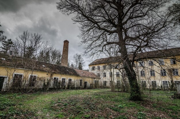 Cour de l'usine